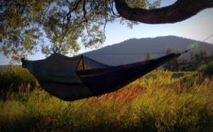 Bushmen Hamak BushBed z Moskitierą BUSHMEN Outlet 11