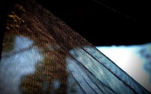 Bushmen Hamak BushBed z Moskitierą BUSHMEN Outlet 2