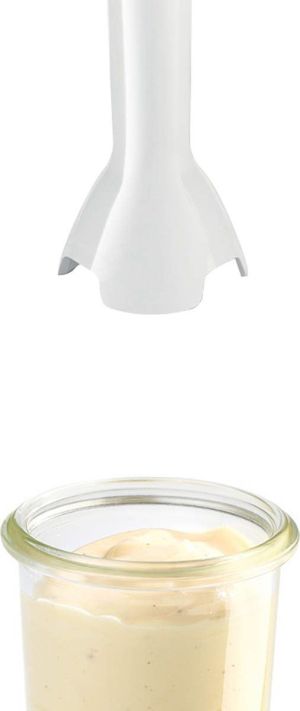 Blender Bosch MSM2623G 2