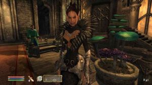 The Elder Scrolls IV: Oblivion: Shivering Isles PC 2
