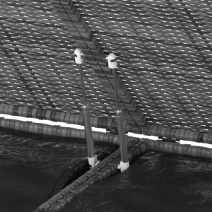 Skrzynia ogrodowa vidaXL vidaXL Skrzynia na poduszki ogrodowe rattan PE, 291x100,5x104cm, szara 4