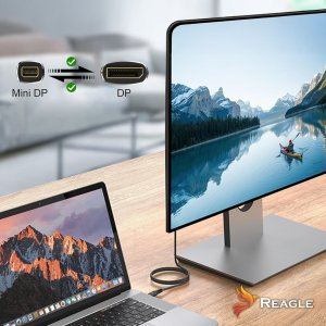 Kabel Reagle DisplayPort Mini - DisplayPort 1m srebrny 7