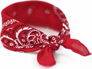 Art of Polo Bandana Classic rebel NoSize 3