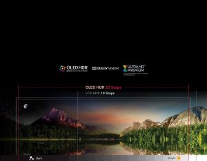 Telewizor LG OLED 55'' 4K (Ultra HD) webOS 3.0 9