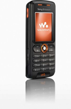 Telefon komórkowy Sony Ericsson W200i czarny 1