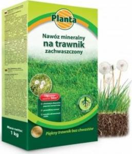 Planta Nawóz mineralny do trawy zachwaszczonej wiosenny 1kg 1