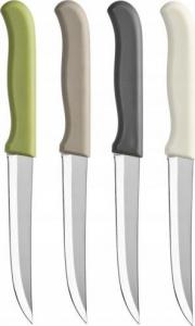 Galicja Nóż kuchenny do obierania ostry Denis 21 cm 1
