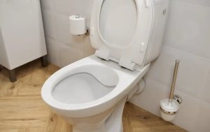 Zestaw kompaktowy WC Cersanit K11-2338 ZESTAW 696 KOMPAKT UNIWERSALNY CERSANIA SIMPLE ON + DS.SLIM/DUR/WO-ŁW DELFI/MODUO // CE.KRCE.KUL.+DS-SLIM-TW-WO-ŁW 4