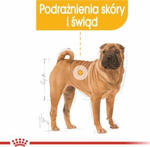 Royal Canin CCN Dermacomfort Medium dla psa 12kg 3