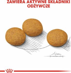 Royal Canin CCN Dermacomfort Medium dla psa 12kg 5