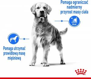 Royal Canin Light Weight Care sucha dla psa 12 kg 4