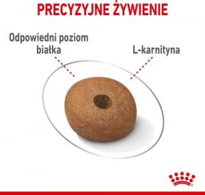 Royal Canin Light Weight Care sucha dla psa 12 kg 5