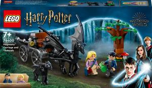 LEGO Harry Potter Testrale i kareta z Hogwartu™ (76400) 1
