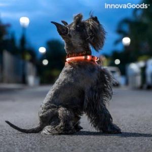 InnovaGoods Obroża LED dla zwierząt Petlux InnovaGoods 1