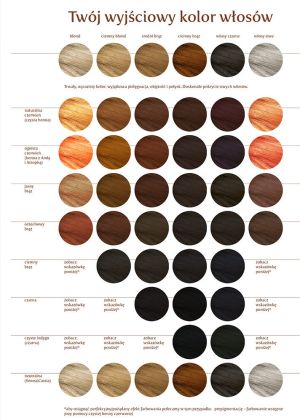 Khadi Henna naturalna z Amlą i Jatrophą 100g 2