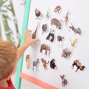 Maksik Magnesy Zoo MV 6032-02 8