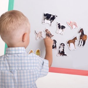 Maksik Magnesy Farma - Mama i dzieci MV 6032-08 7
