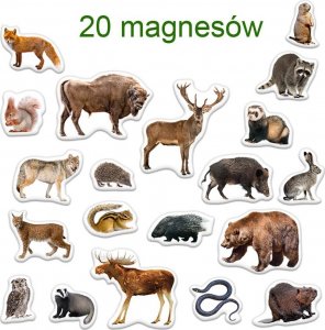 Maksik Magnesy Mieszkańcy lasu MV 6032-09 3