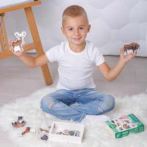 Maksik Magnesy Mieszkańcy lasu MV 6032-09 5