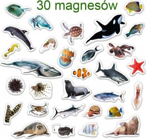 Maksik Magnesy Morscy mieszkańcy MV 6032-18 3