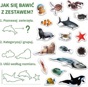 Maksik Magnesy Morscy mieszkańcy MV 6032-18 5