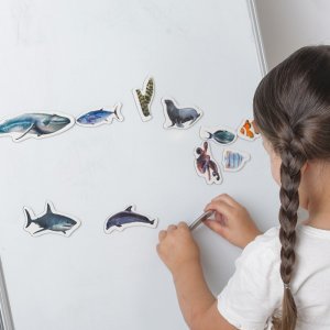 Maksik Magnesy Morscy mieszkańcy MV 6032-18 7