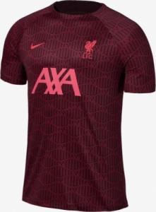 Nike Koszulka Liverpool FC Dri-Fit Top SS PM DJ8562 609 czerwony r. M 1