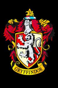 Babaco Bluza damska z kapturem Harry Potter 020 Czarny Rozmiar: M 2