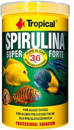 Tropical Super Spirulina Forte pokarm roślinny dla ryb 12g 1