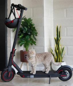 Livall BH51M Neo Smart Kask Miejski Bluetooth LED/SOS Roz. L 9