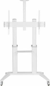 Techly Techly Stojak do Tablicy Interaktywnej 70-120" 140kg Biały 4