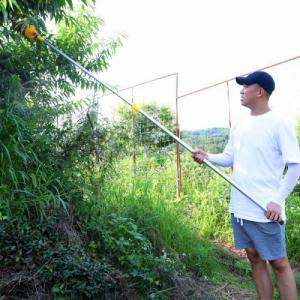 Gold Start Zbieracz do owoców 4m 3