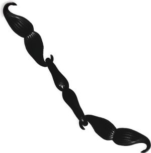 Trefl Gra planszowa Wąsy Wąsy (01366) 2