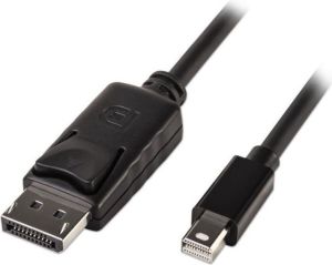 Kabel Lindy DisplayPort Mini - DisplayPort 2m czarny (41646) 1