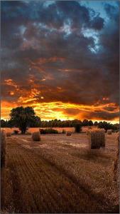 Monitor Samsung VM46B-U (LH46VMBUBGBXEN) 4