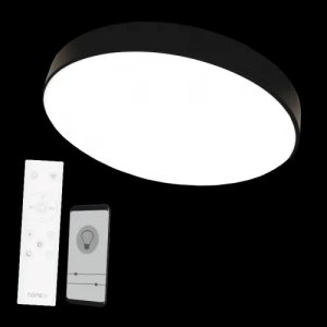 Lampa sufitowa Tope CEILING LAMP BOSTON2X60W D80RC LED BLACK 2