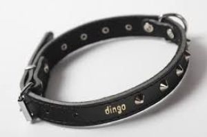 Dingo Obroża skórzana ozdobna podszyta filcem 1,0 x 36 cm - czarna 1