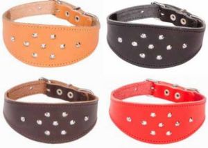 Dingo obroża chart ozdobna zapinana 1,6-5,1 x 40cm (29-33 cm) - 12377 2