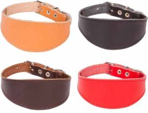 Dingo obroża chart zapinana 1,6-5,1 x 40 cm (29-33 cm) - 12359 2