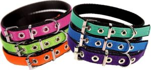 Dingo Obroża extra "energy" 2 x 55 cm zielona 2