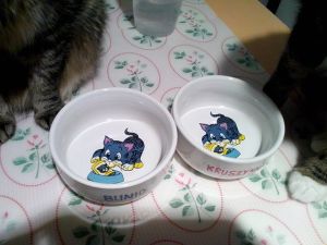 Trixie TX-4009 MISKA CERAMICZNA 11 CM/0.3L 2