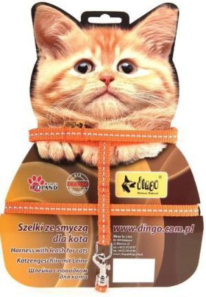 Dingo komplet dla kota "energy" odblaskowy - smycz 10 mm x 110 cm, szelki 30-45 cm pomarańczowy - 21602 1