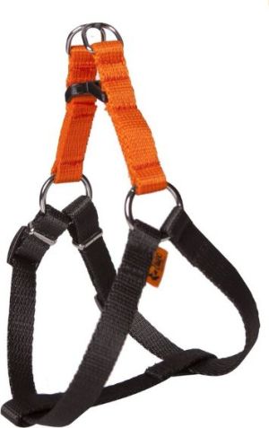 Dingo szelki fred "energy" rozmiar 40 szer. 1,2 cm, z taśmy polipropylenowej orange+black - 94607 1