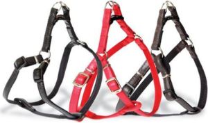 Dingo Szelki Fred "Basic" rozmiar 50 - czerwone 5