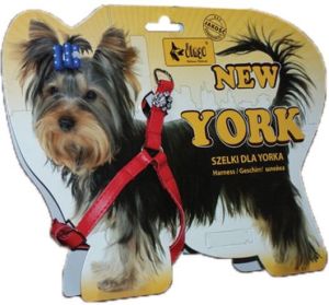 Dingo Szelki dla yorka "New York" - czerwone 2
