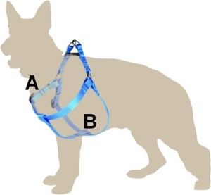 Dingo Fred nr 30 szer. 10 mm Czarne (93200) 2