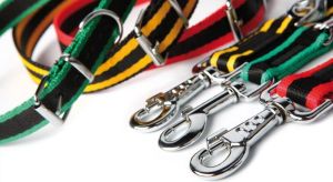 Dingo Przedłużana z taśmy polipropylenowej 1.6/120-220cm Czarno-żółta (13018) 3