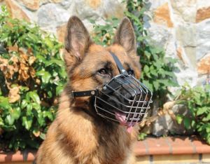 Dingo Kaganiec metalowy z wkładką plastikową Spaniel średni - nr 3a 8