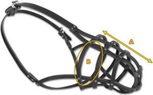 Dingo Kaganiec skórzany nitowany Collie duży - nr 14 3