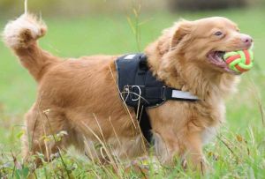 Dingo piłka pleciona ze sznura "energy" 85 g/ #7 cm - 17455 3